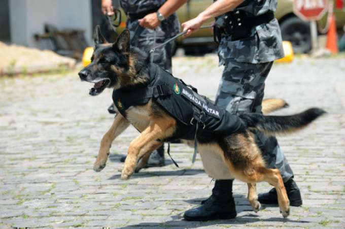 Assalto seguido de perseguição no Buritis