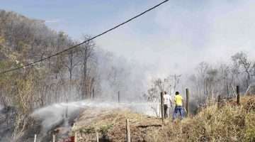 Algumas pessoas já tentavam apagar o incêndio. Foto: William Araújo