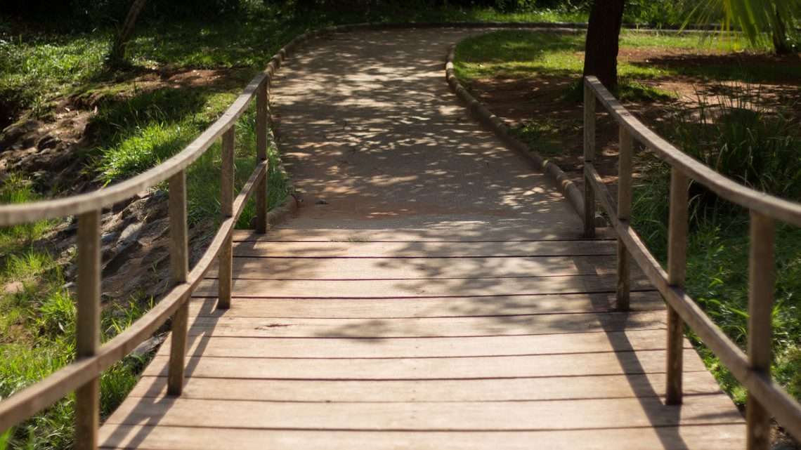 Parque Aggeo Pio Sobrinho- ponte sobre um dos fluxos de água do Córrego Cercadinho - Foto: William Araújo