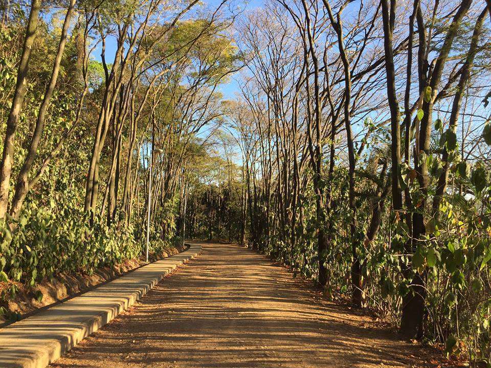 Parque Jaques Cousteau - Foto por Arthur Scafutto