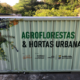 Horta comunitária no Estoril utiliza sistema Agroflorestal e Compostagem
