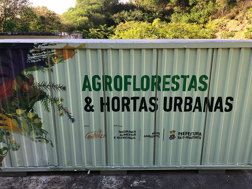 Horta comunitária no Estoril utiliza sistema Agroflorestal e Compostagem
