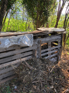 Horta comunitária no Estoril utiliza sistema Agroflorestal e Compostagem 6