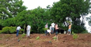 Horta comunitária no Estoril utiliza sistema agroflorestal e compostagem (Antes)